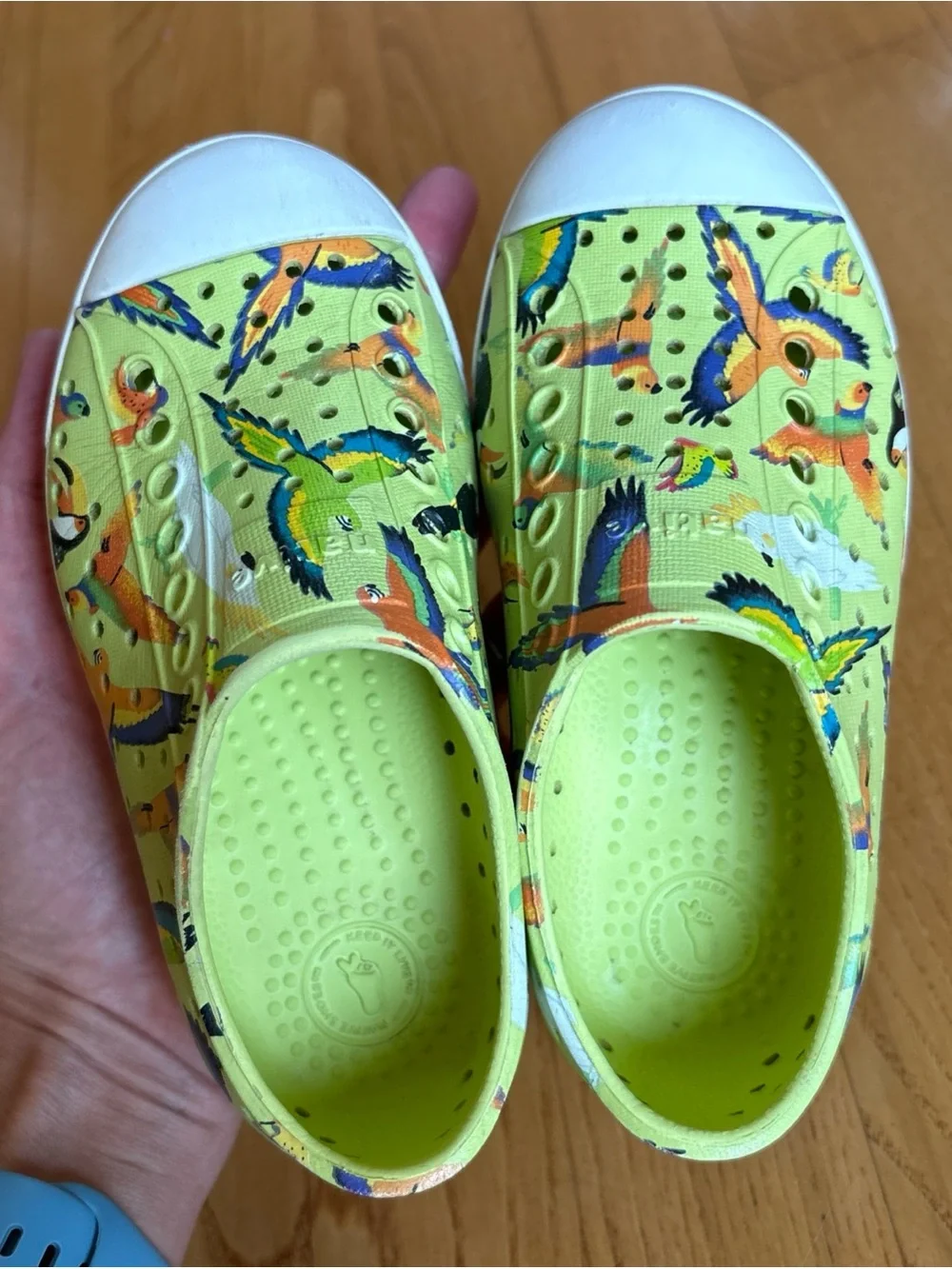 Native Jefferson Sugarlite Shoes Celery Green parrot motif Toddler Boys Girls C9